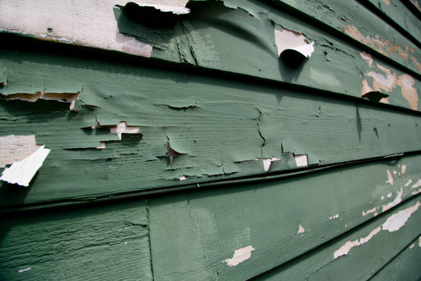 Affordable siding repair and maintenance services in Clayton, CA