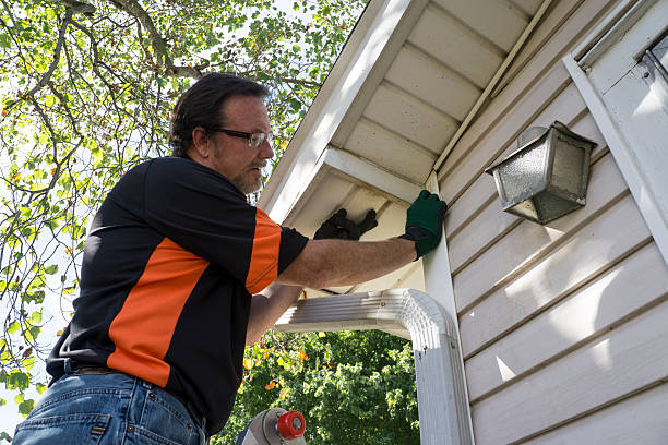 Affordable siding repair and maintenance services in Clayton, CA